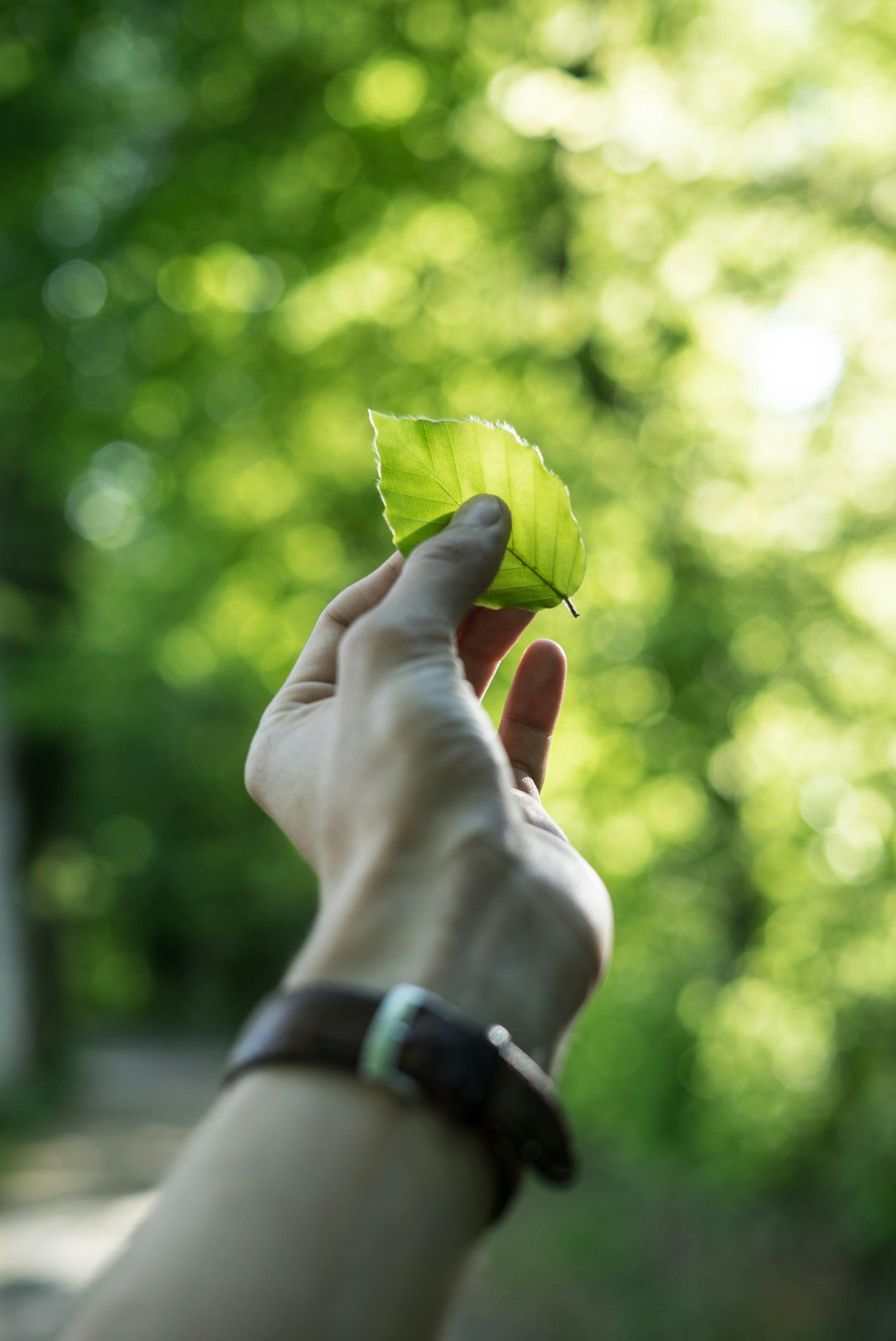 Polaris EcoSystems land use planning for renewable energy projects