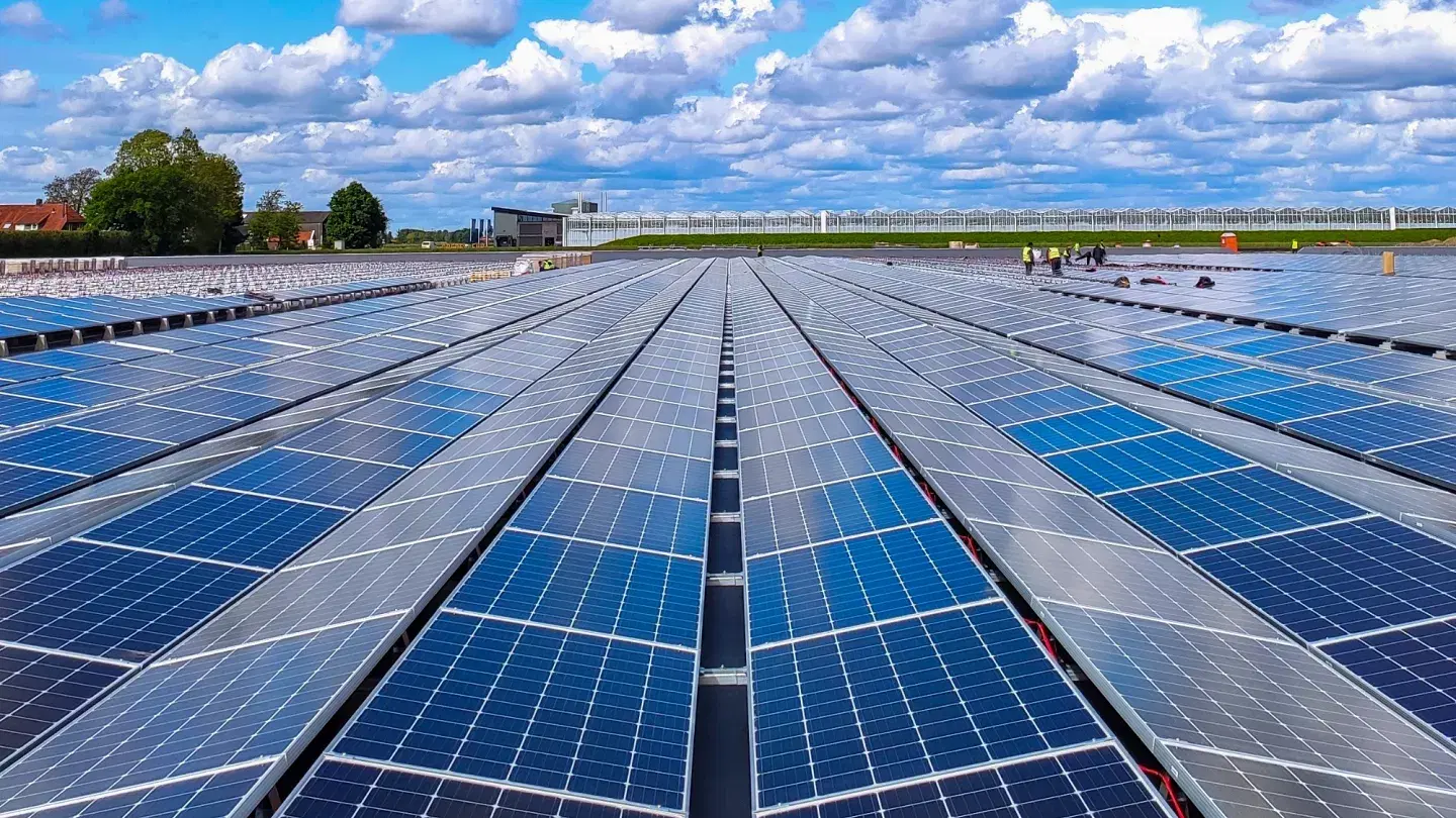 Large ground-mounted solar array under inspection